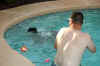 DSC_0938.JPG (78637 bytes)
