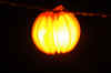DSC_4433.JPG (54590 bytes)