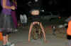 DSC_4504.JPG (116784 bytes)
