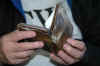 DSC_2531.JPG (98472 bytes)