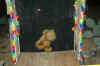 DSC_0055.JPG (80071 bytes)